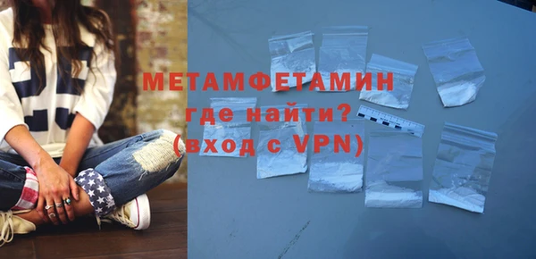индика Нижний Тагил