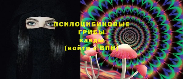 ешки Краснотурьинск