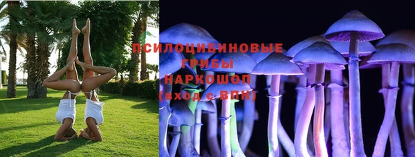 а пвп мука Краснослободск