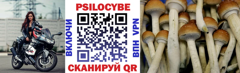shop телеграм  Правдинск  Псилоцибиновые грибы Psilocybine cubensis  наркошоп 